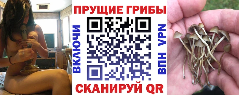 Галлюциногенные грибы Magic Shrooms  Покачи 